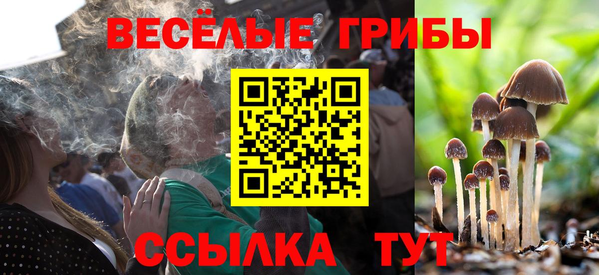 Наро-Фоминск  Галлюциногенные грибы MAGIC MUSHROOMS  Вход с VPN 